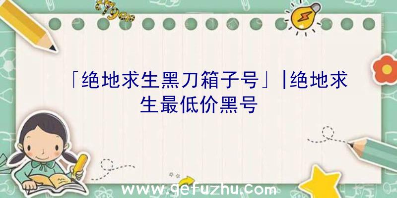 「绝地求生黑刀箱子号」|绝地求生最低价黑号